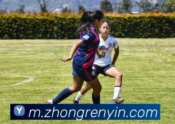 华体会体育发展历程